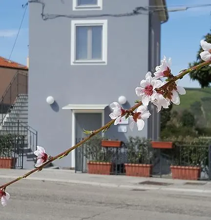 Gæstehus Affittacamere Nonna Laura