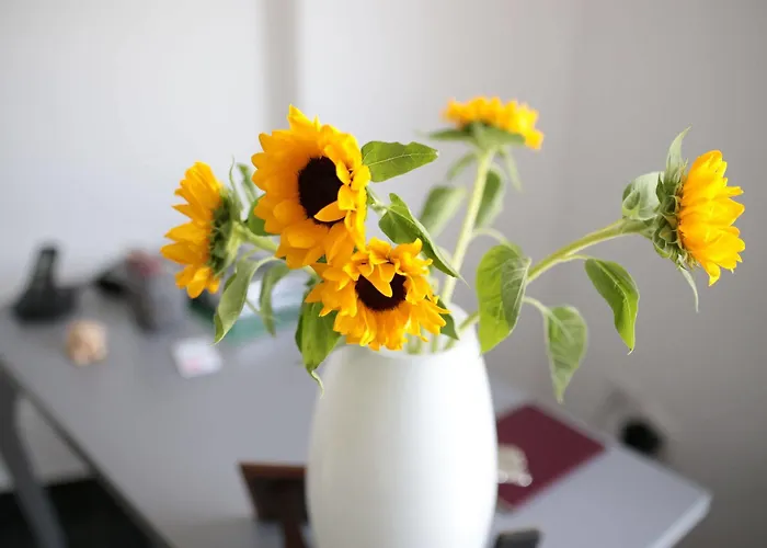 Affittacamere Nonna Laura 3* Sant'Eusanio del Sangro